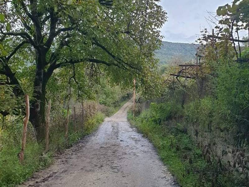 ტენდერი გამოცხადდა ცაგერის მუნიციპალიტეტში სოფელ უსახელოში სტიქიის შედეგად...